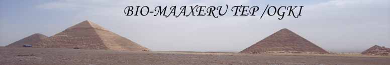 Author Banner