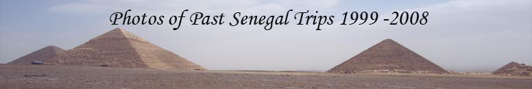 Photos of Past Sengal Trips 1999-2008